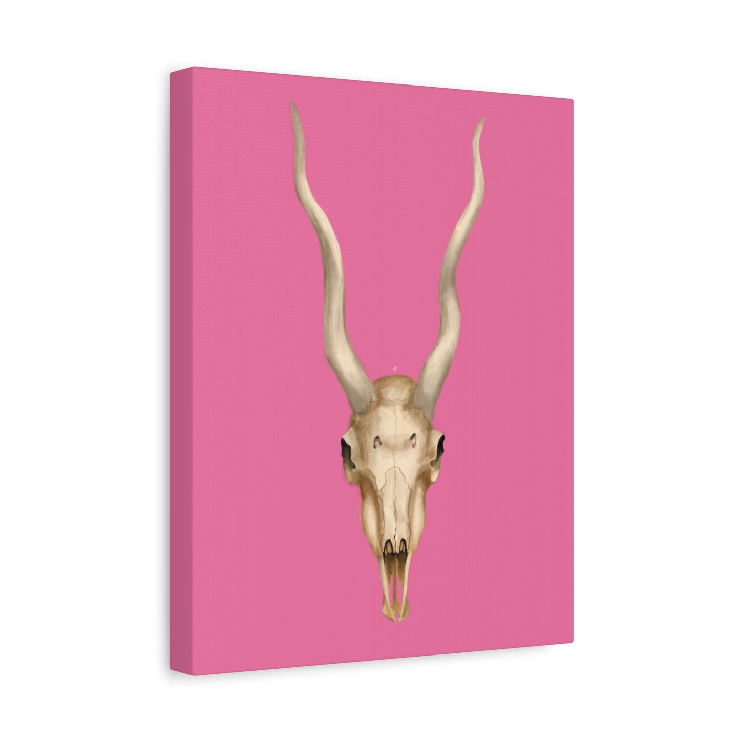 Whimsical Skull Canvas Art – Pink Wall Decor for Modern Spaces