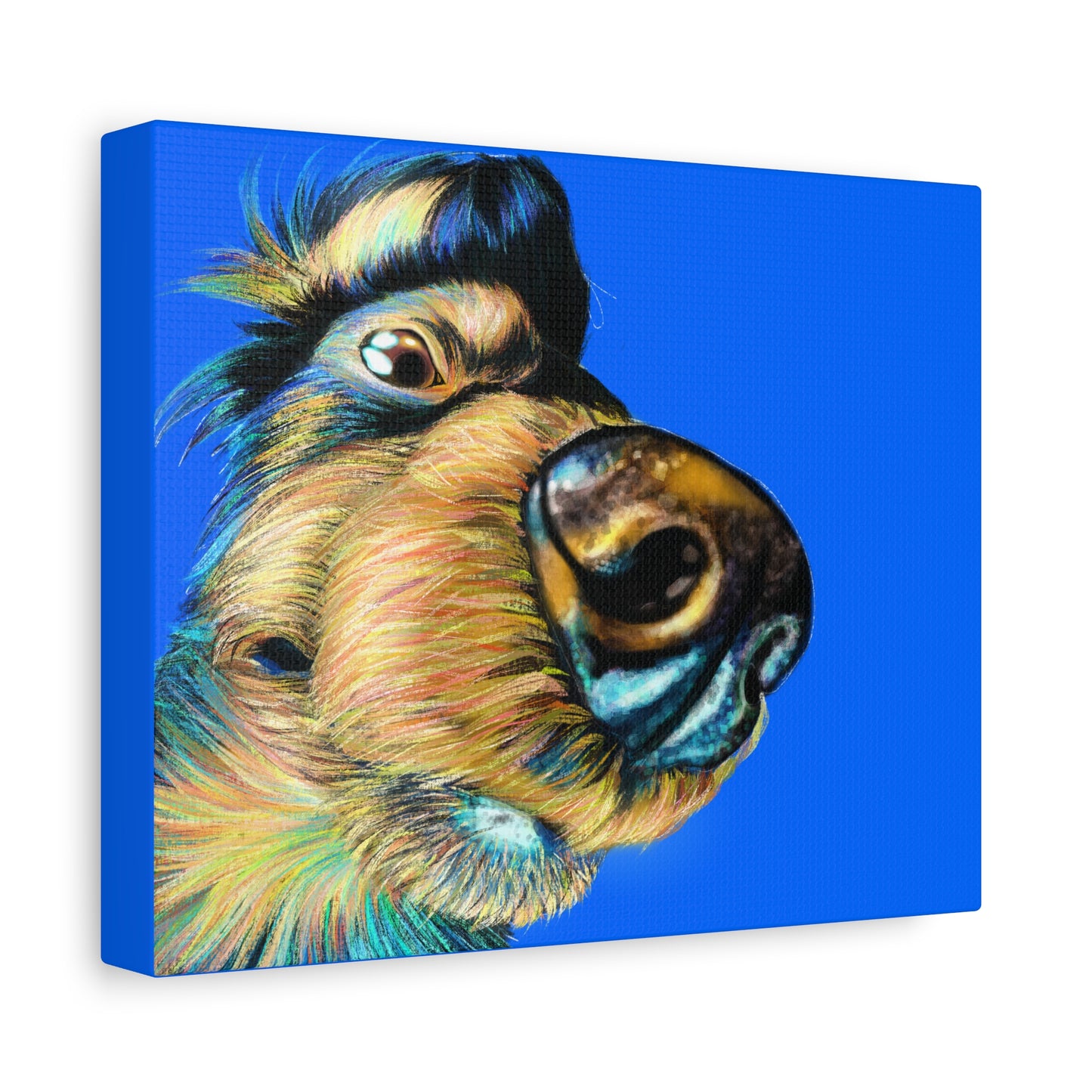 Colorful Dog Canvas Art - Stretched Matte Wall Decor