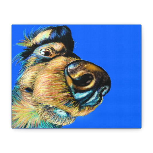 Colorful Dog Canvas Art - Stretched Matte Wall Decor