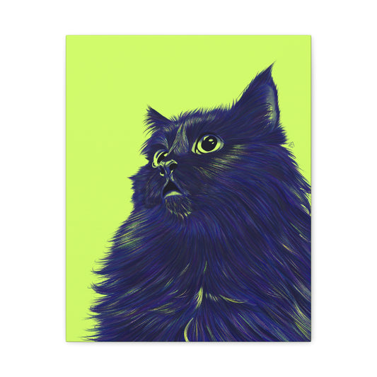 Colorful Cat Canvas Print Wall Art - Pet Lover Home Decor